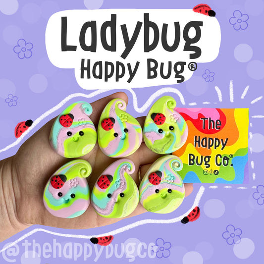 Ladybug Happy Bug